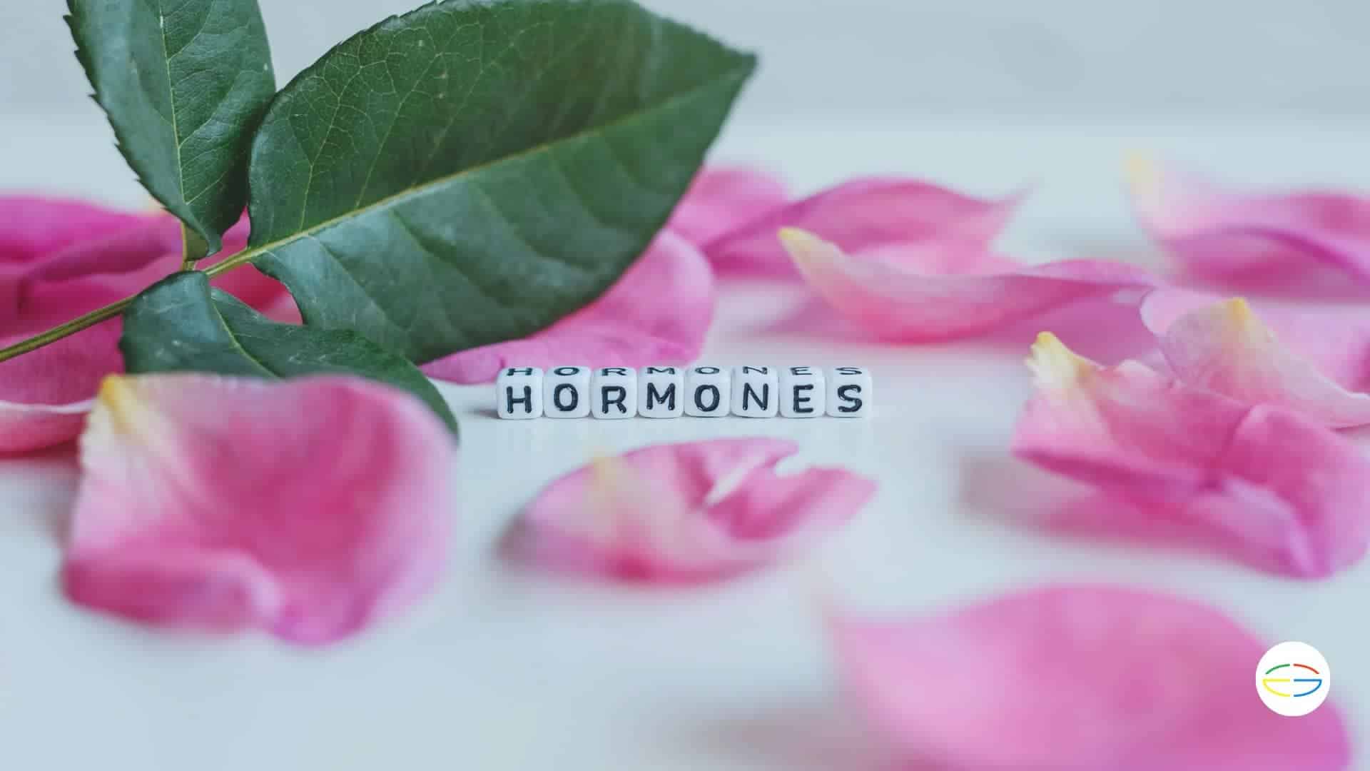 hormonas ipotalamicas