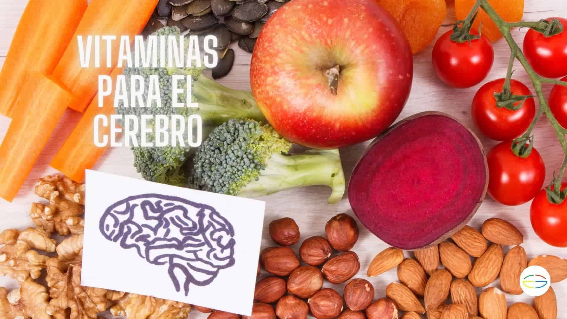 vitaminas p el cerebro
